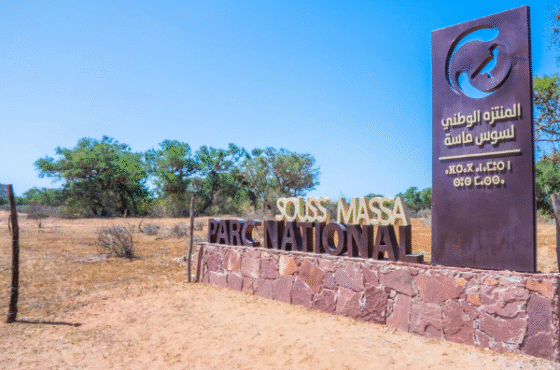 Jednodniowa wycieczka do Parku Narodowego Souss Massa
